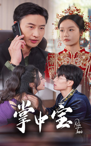 掌中宝（31集）热门短剧分享