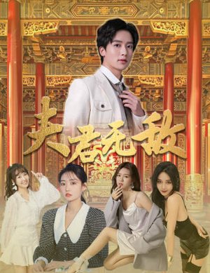 夫君无敌(100集) 夫君无敌(100集)在线观看