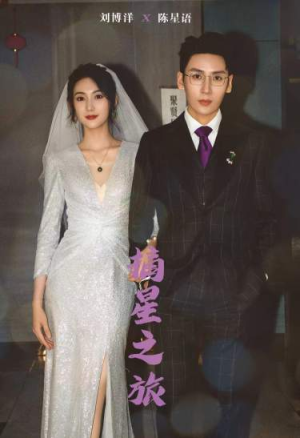 摘星之旅(88集) 摘星之旅(88集)好看的短剧来了