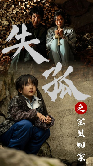 失孤之宝贝回家(71集) 失孤之宝贝回家(71集)一共多少集