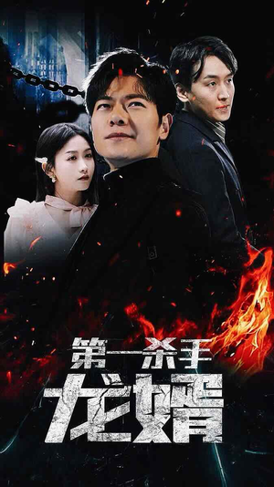 第一杀手龙婿(100集) 第一杀手龙婿(100集)超好看古装短剧