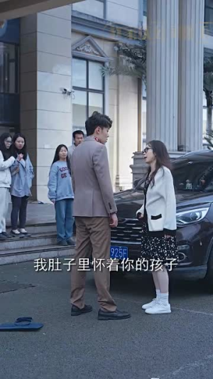 前妻归来不可欺(95集) 前妻归来不可欺(95集)在线免费观影