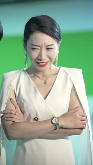 女总裁的近身高手(50集) 女总裁的近身高手(50集)评价怎么样