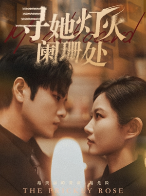 寻她灯火阑珊处(61集) 寻她灯火阑珊处(61集)热播短剧抢先看