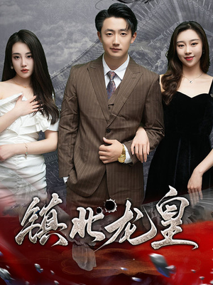 镇北龙帅(97集) 镇北龙帅(97集)爱短剧爱追剧