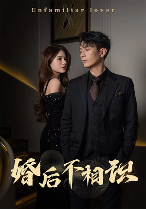 婚后不相识（100集）热播短剧来袭