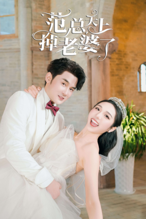 范总天上掉老婆了(78集) 范总天上掉老婆了(78集)全集免费观看