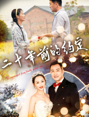 二十年前的约定（57集）追短剧看全集