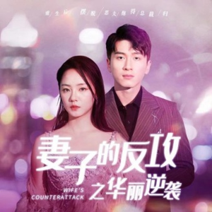 妻子的反攻之华丽逆袭（30集）精彩短剧天天看
