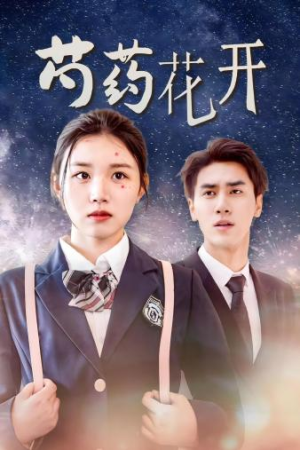 火光中的芍药花(77集) 火光中的芍药花(77集)短剧有好货推荐