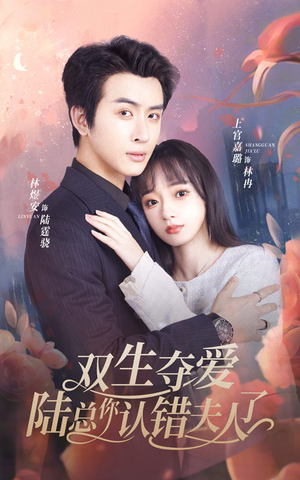 双生夺爱陆总你认错夫人了(94集) 双生夺爱陆总你认错夫人了(94集)短剧在线看