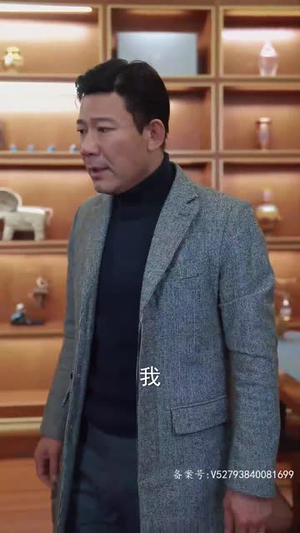 我成了段总的腹黑女保镖(67集) 我成了段总的腹黑女保镖(67集)直接追到结尾