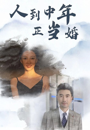 人到中年正当婚（81集）红果短剧看全集