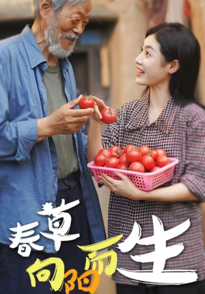 春草向阳而生(53集) 春草向阳而生(53集)免费短剧就是爽