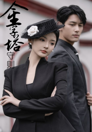 金字塔守则（66集）每日短剧分享