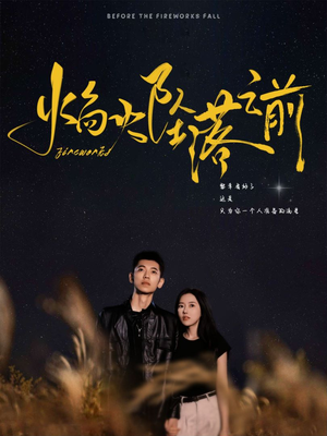 焰火坠落之前(99集) 焰火坠落之前(99集)独家内容免费看