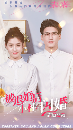 被退婚后,小村姑闪婚霸道总裁(36集) 被退婚后,小村姑闪婚霸道总裁(36集)全集下载