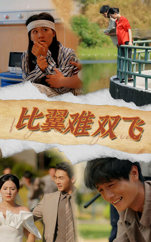 比翼难双飞(30集) 比翼难双飞(30集)短剧在线更新