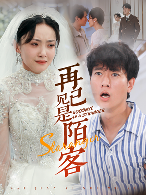 再见已是陌客（55集）爱上了这部剧了