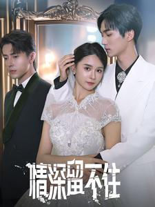 情深留不住(80集) 情深留不住(80集)短剧后续更精彩