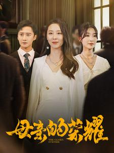 母亲的荣耀（80集）360网盘观看