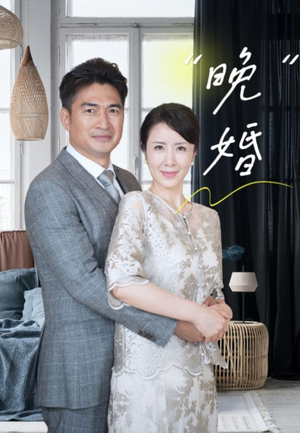 晚婚（65集）全集下载