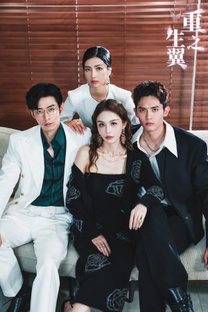 重生之翼（56集）好看的短剧电影