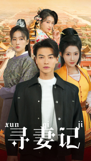寻妻记（52集）热播短剧全集看