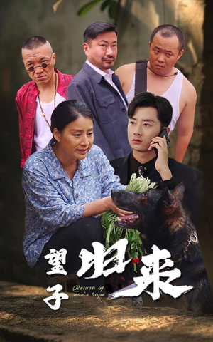 望子归来(50集) 望子归来(50集)悬疑短剧推荐