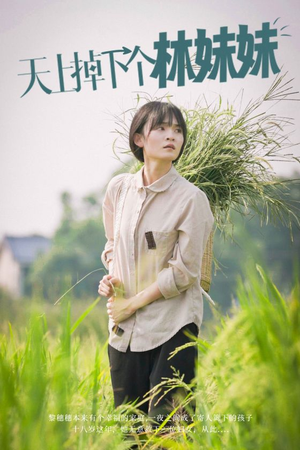 天上掉下个林妹妹(81集) 天上掉下个林妹妹(81集)精彩短剧来袭