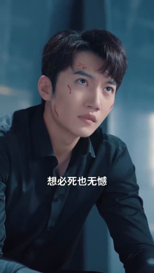 双生风云(92集) 双生风云(92集)更新时间