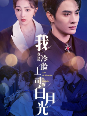 我竟是冷脸上司的白月光(80集) 我竟是冷脸上司的白月光(80集)抢先看热门短剧