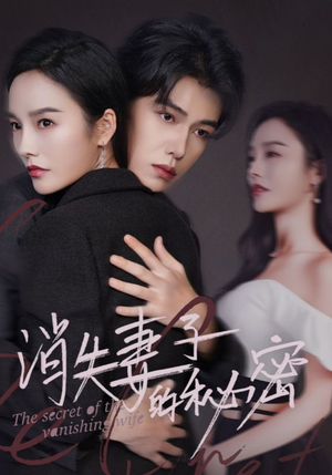 消失妻子的秘密(60) 消失妻子的秘密(60)免费短剧资源