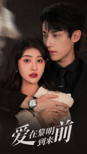 爱在黎明到来前(36集) 爱在黎明到来前(36集)好看的短剧推荐