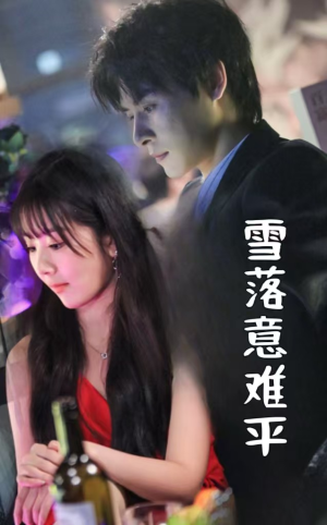 雪落意难平(35集) 雪落意难平(35集)全集都在这里了