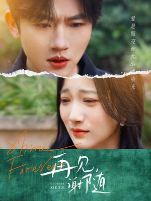 再见谢随(30集) 再见谢随(30集)全集下载