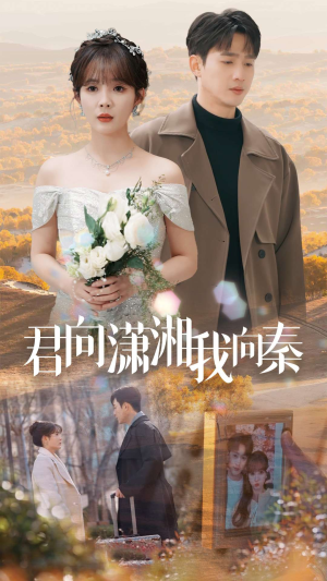 君向潇湘我向秦（30集）免费观看