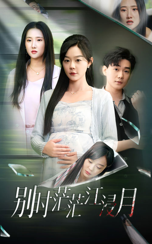 别时茫茫江浸月（30集）在线观看全集
