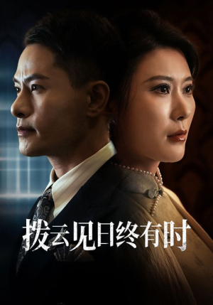 拨云见日终有时(30集) 拨云见日终有时(30集)解说文案