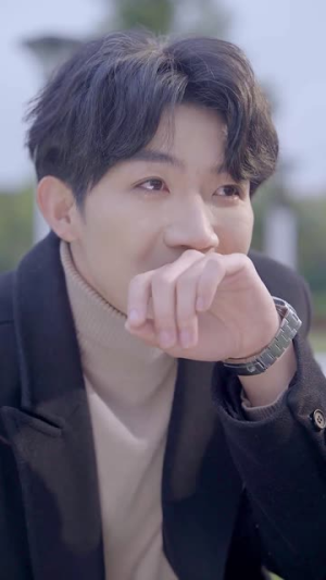 爱似流星坠落(30集) 爱似流星坠落(30集)在线免费观看