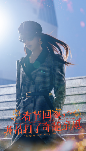 春节回家,我吊打了奇葩亲戚(30集) 春节回家,我吊打了奇葩亲戚(30集)网盘在线观看