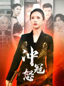 冲冠怒(93集) 冲冠怒(93集)第一季