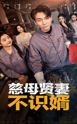 慈母贤妻不识婿(45集) 慈母贤妻不识婿(45集)在哪看是免费的