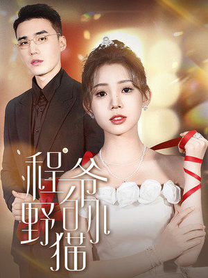 程爷的小野猫（40集）精彩好看的短剧