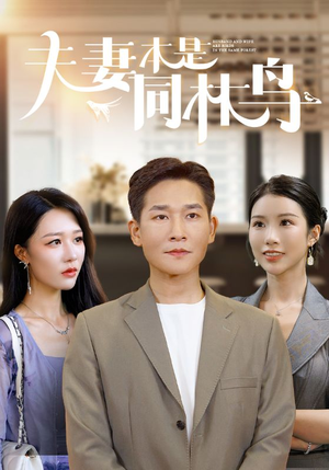 夫妻本是同林鸟(76集) 夫妻本是同林鸟(76集)免费观看完整版