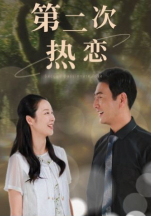 第二次热恋(48集) 第二次热恋(48集)大结局