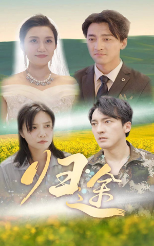 归途(52集) 归途(52集)爆款短剧推荐