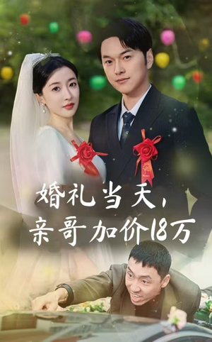 婚礼当天，亲哥加价18万（36集）短剧看全集