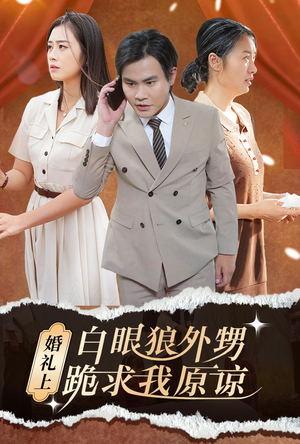 婚礼上白眼狼外甥跪求我原谅（35集）在哪个平台看