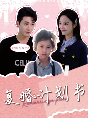 复婚计划书（96集）免费短剧全集看